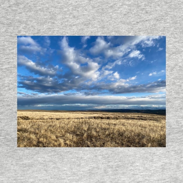 Prairie sky by Art Quilts by Rhonda